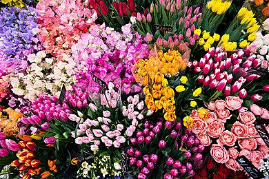 山内一典：《GT赛车7》制作一辆新车需要9个月