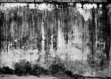 《怪物猎人：荒野》Steam新史低促销 标准版278元